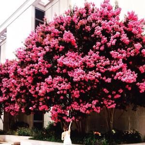 Meet your Posher, Gilda